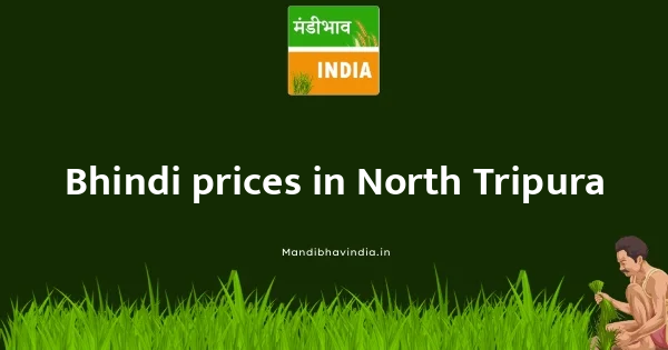 Bhindi price